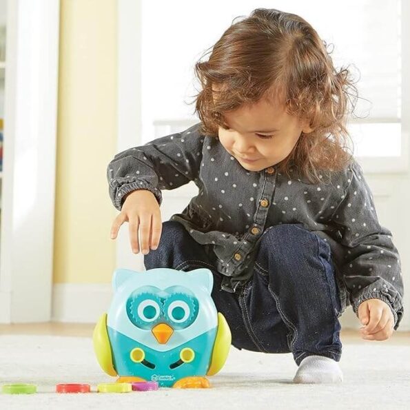 Best Hoot The Fine Motor Owl Amazon