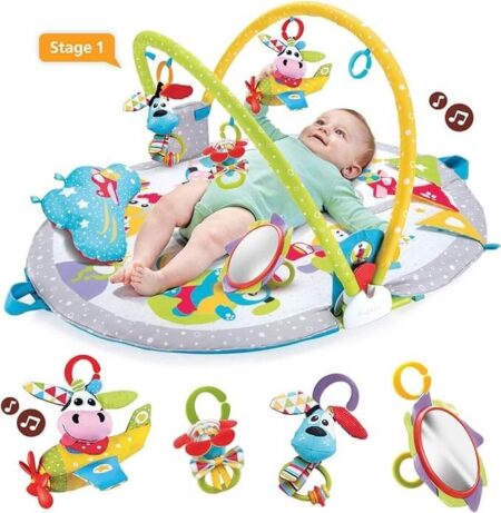 Best Play Gym For Baby