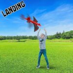 Best airplane launcher for kids