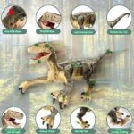 Big Electric RC Walking Dinosaur Robot Toy