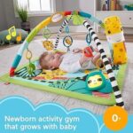 Fisher Baby Newborn To Toddler Playmat Amazon