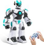 Gesture Sensing Rechargeable Programmable Robot