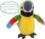 Hengle Talking Parrot in Amazon