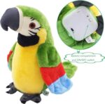 Hengle Talking Parrot in Amazon