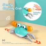 Original Crawling Crab Toy