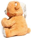 Paws for Prayer Bear Amazon