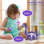 Purple Dinosaur Remote Control Manual