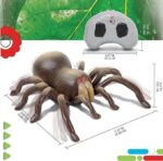 Rc Moving Tarantula Spider Price