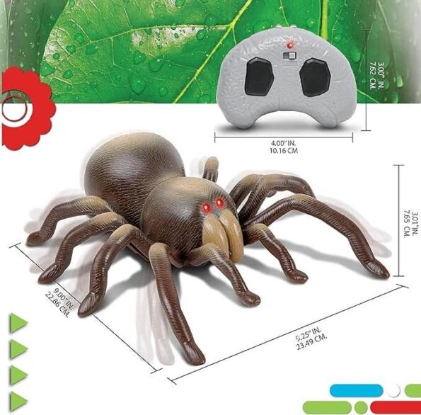 Rc Moving Tarantula Spider Price Online Amazon UK