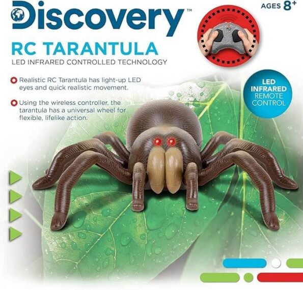 Rc Moving Tarantula Spider Price RareWonderz