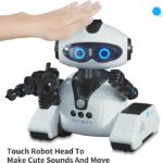 Rechargeable Remote Control Smart Robots