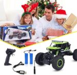 Remote Control Monster Truck For Sale