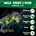 Tyrannosaurus T-Rex Walking Dinosaur Kids Toy