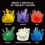 Mega Crystal Growing Kit For Kids